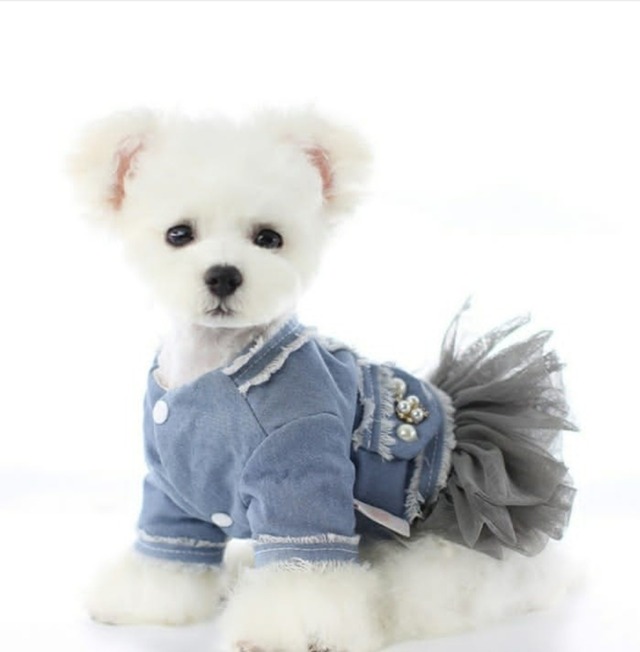 Order marin Set Up Sサイズ Order marin Set Up Sサイズ