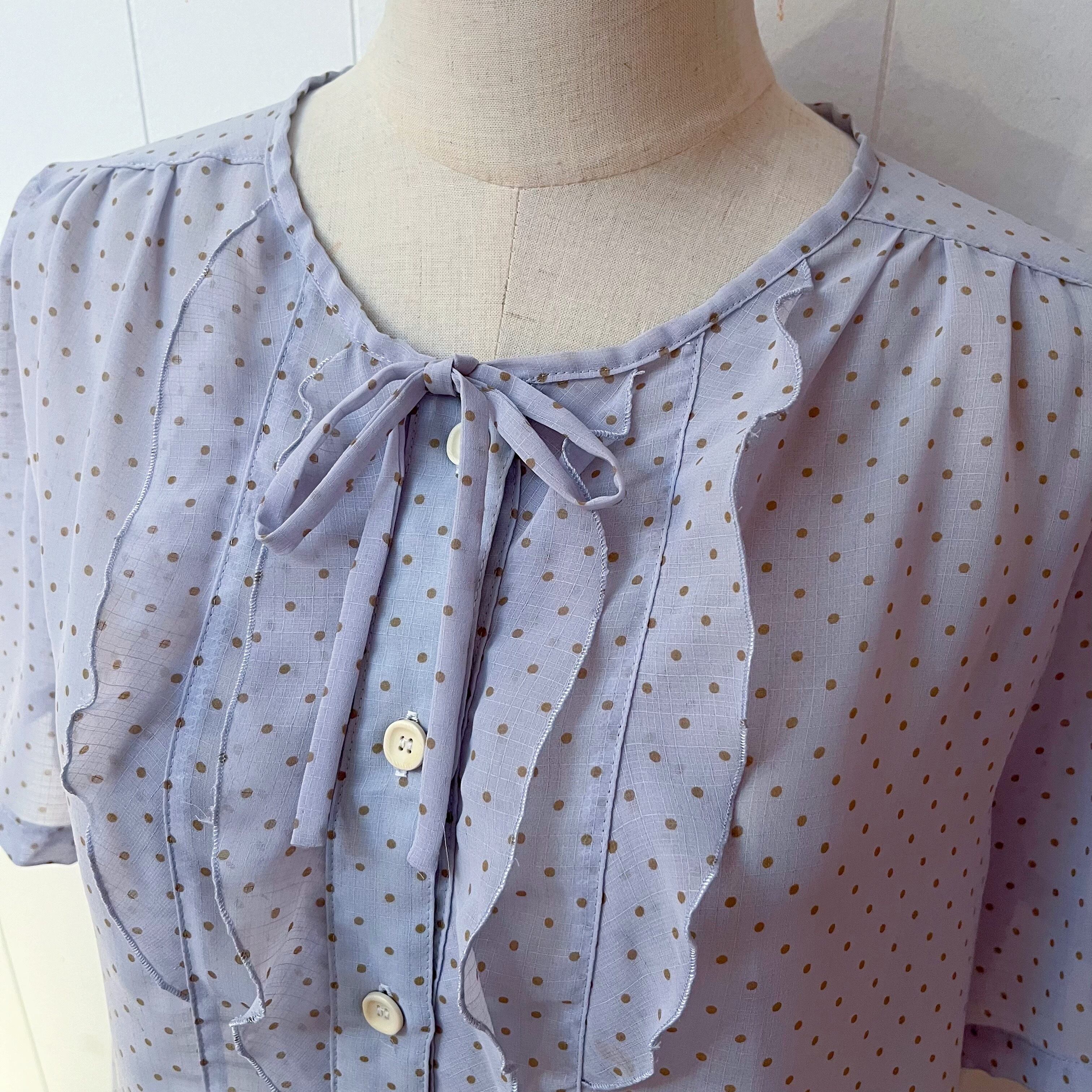 light blue dot sheer blouse