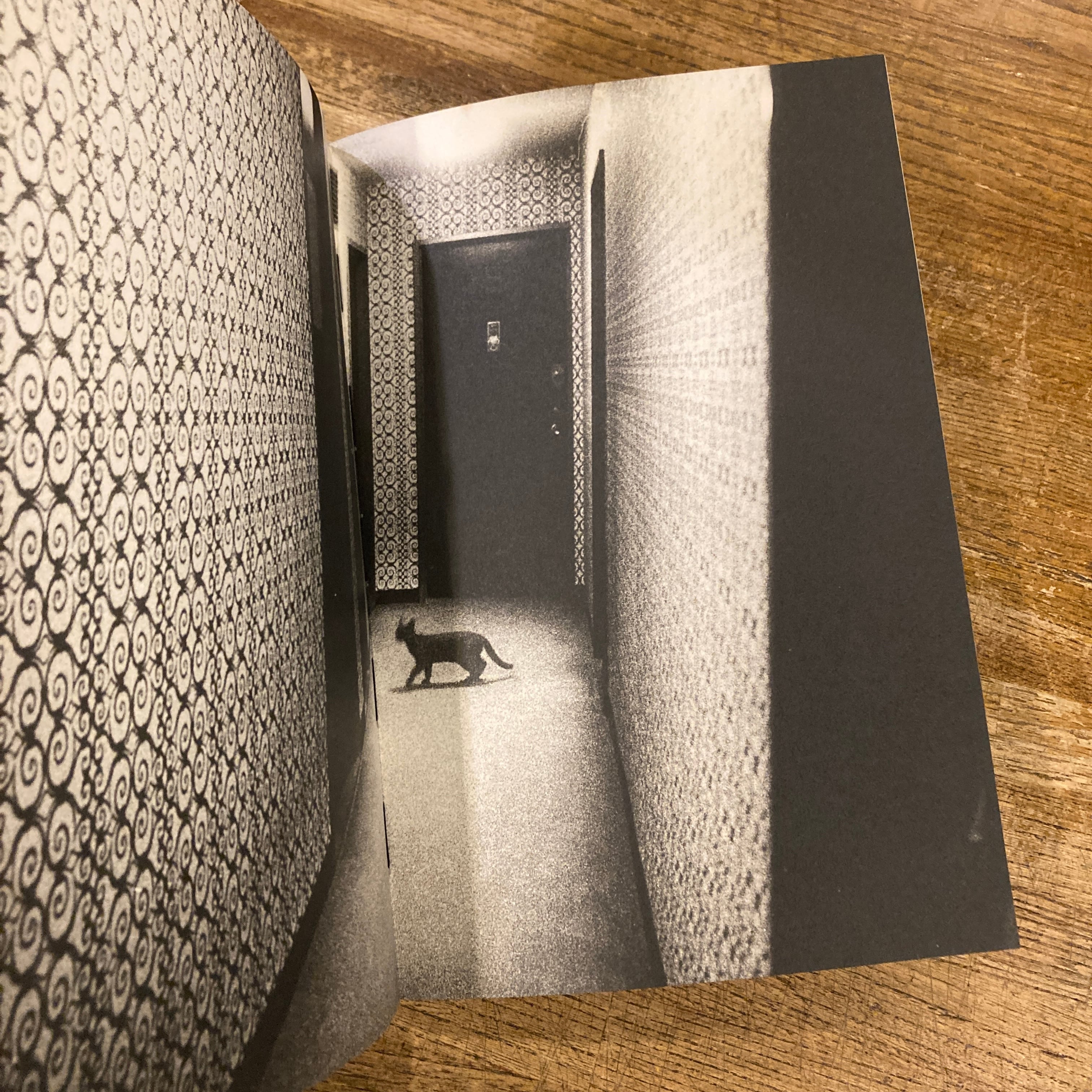 71-NY / 森山大道 Daido Moriyama | 百年