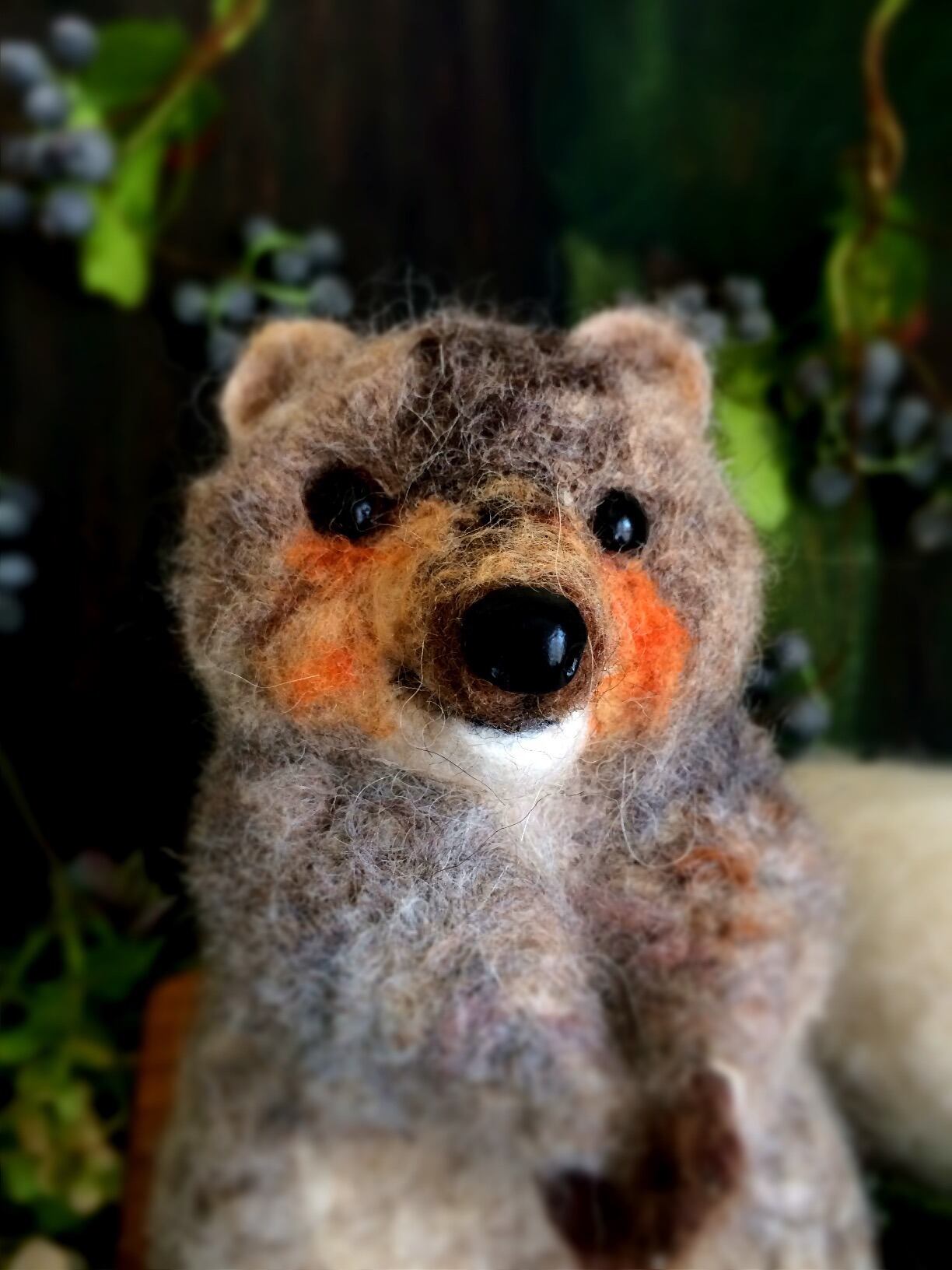 お座りクアッカワラビー ちむす