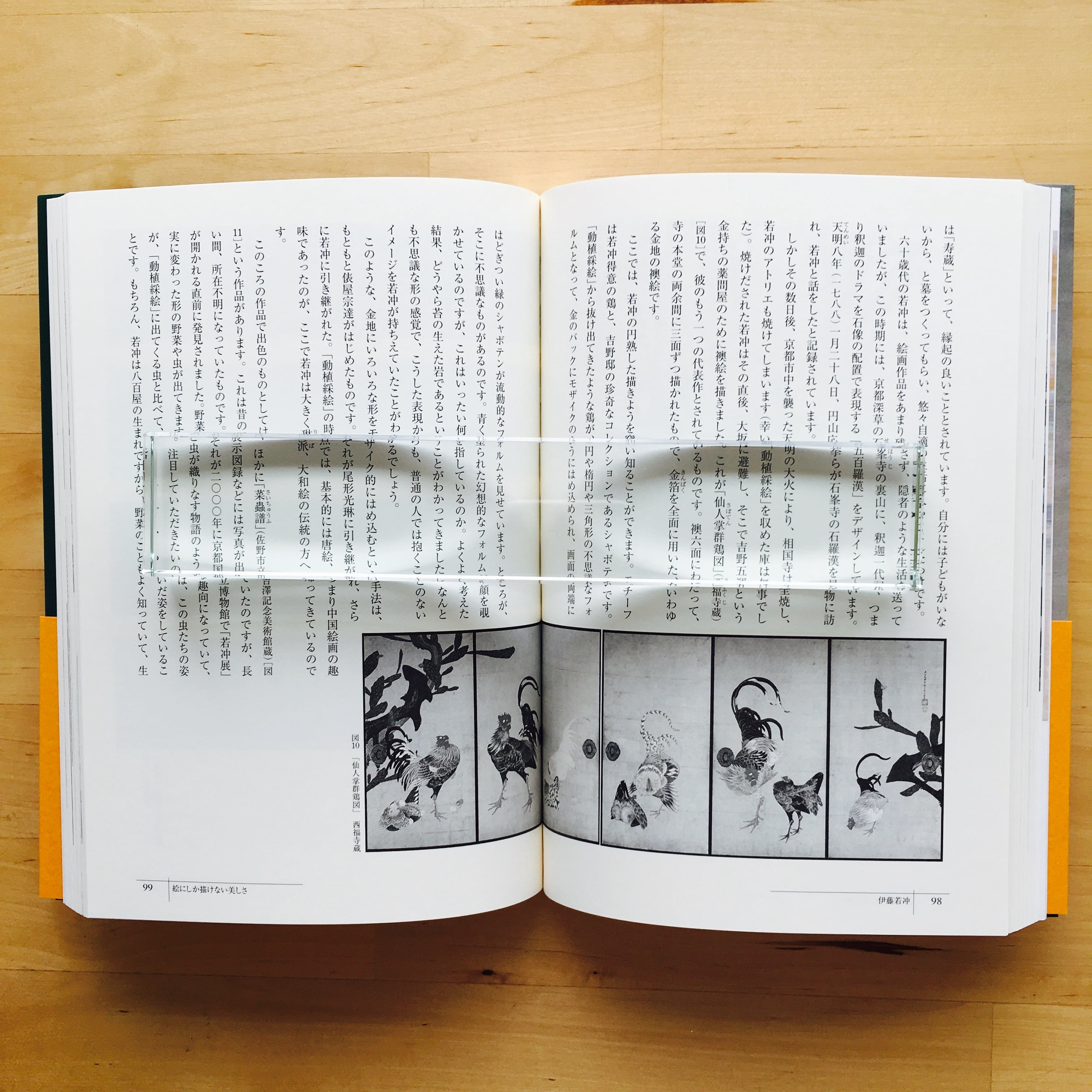辻惟雄『ギョッとする江戸の絵画』 | 羽鳥書店 Hatori Press