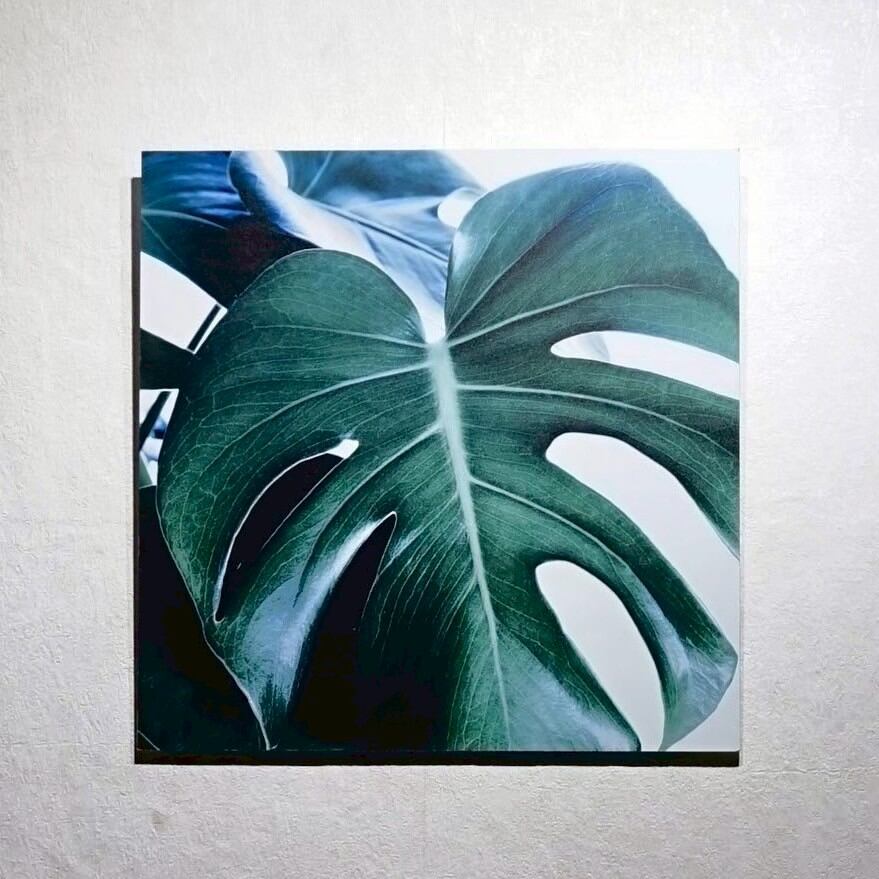 Adez／BoConcept / アート Adez／BoConcept / アート Modern Contemporary Wall Art