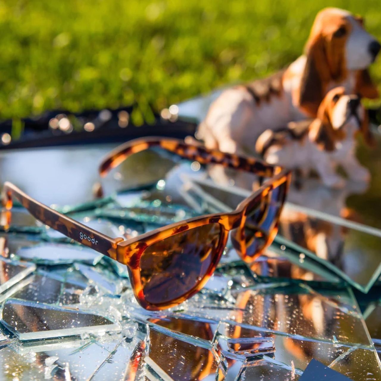 gooder / OG - BOSLEY'S BASSET HOUND DREAMS - 8