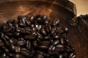 珈琲テニヲハ、 | 珈琲豆 『春分』 100g