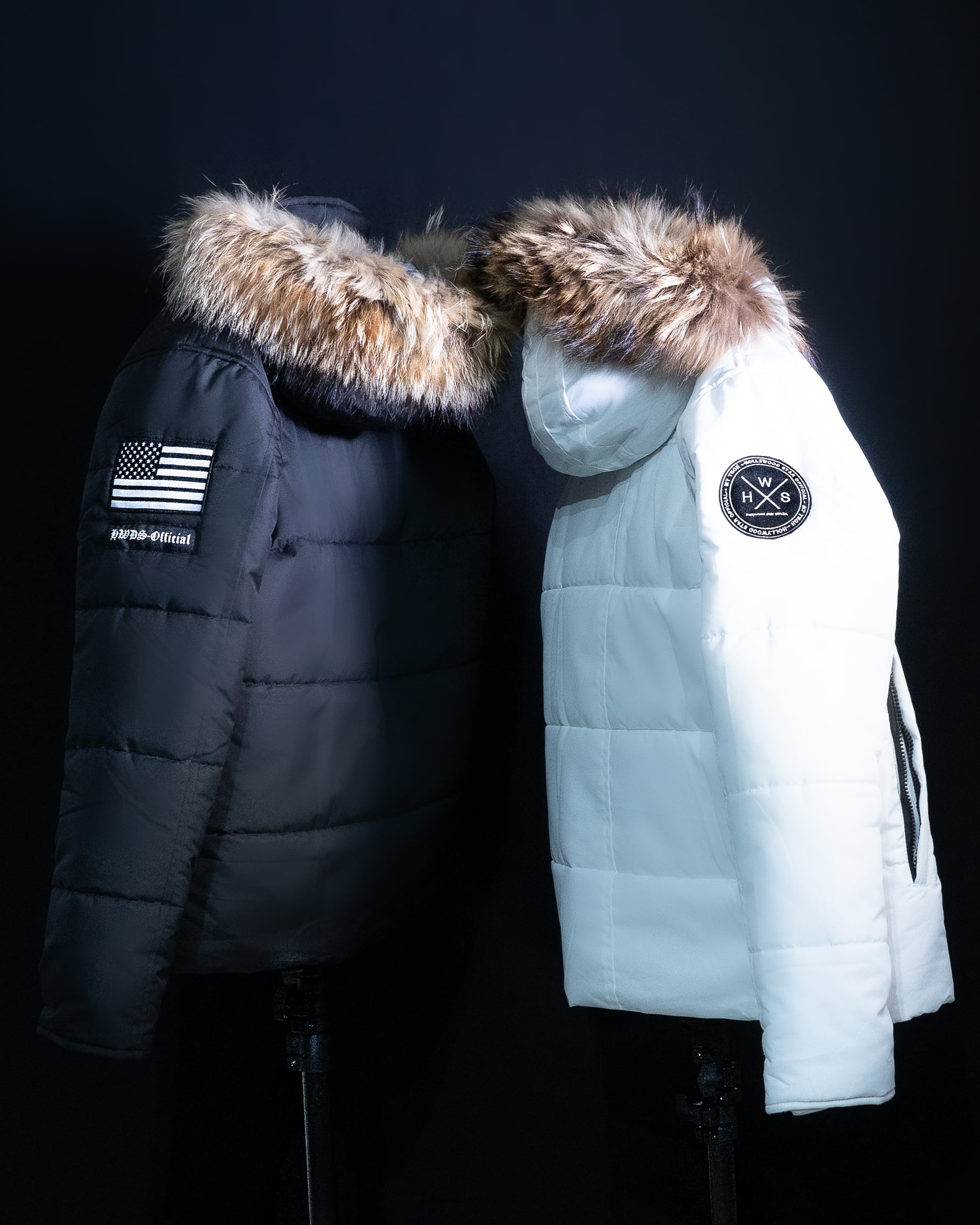 Hollywood star official ダウンジャケット Lサイズ | finiscapital.com