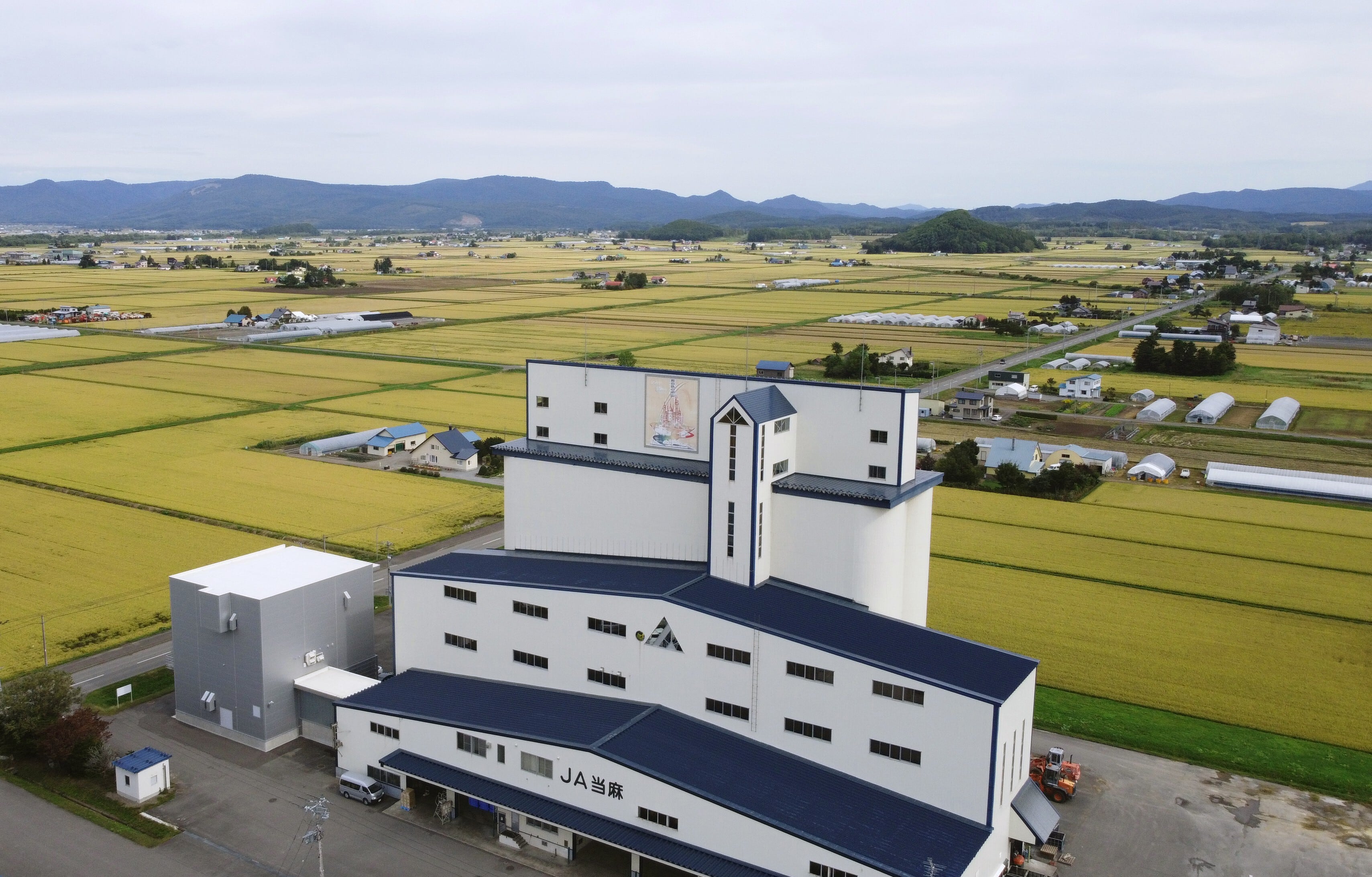 令和7年産 今摺米 きたくりん 5kg 精米HACCP認定 新米 籾貯蔵