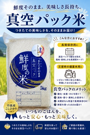 送料無料！8年産丹波産コシヒカリ 特別栽培米 5kg（真空パック　精米）×2袋　（送料無料は北海道、沖縄除く）
