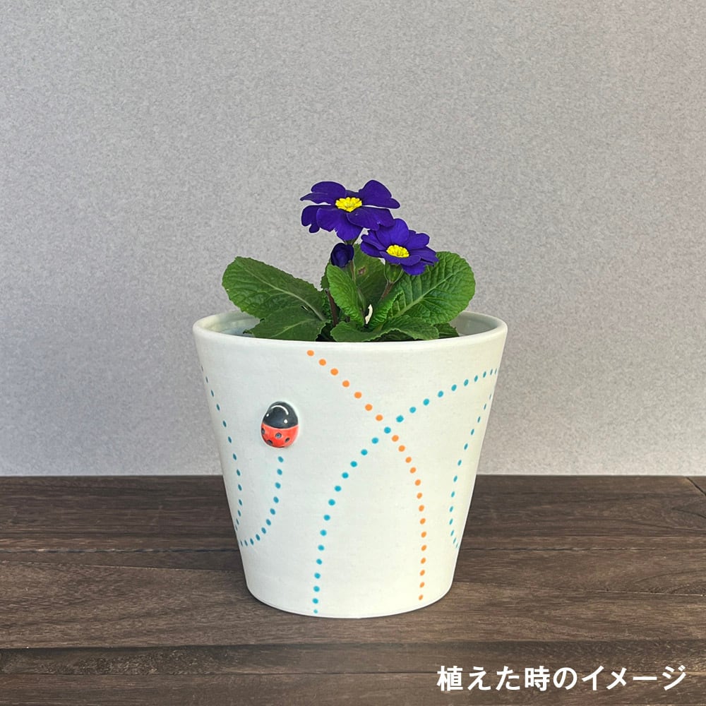 てんとう虫鉢カバー（4号）╴クルクル緑 | どいなつこ ONLINE SHOP