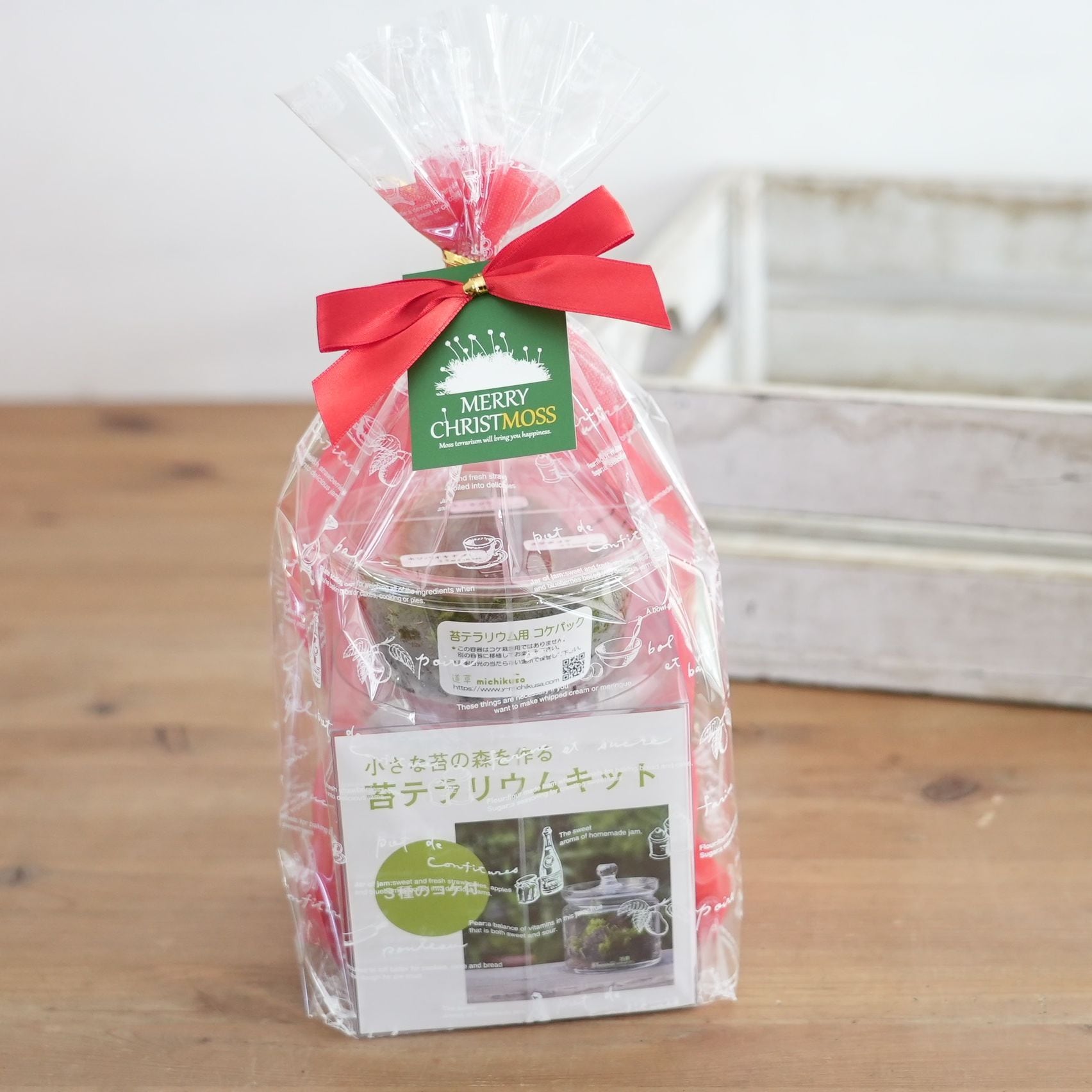 【クリスマス限定Ver.】ガラスキャニスターで作る苔テラリウム作製キット◆クリスマスラッピング付き