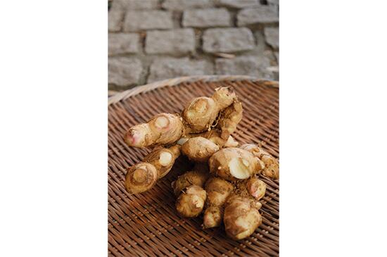 新生姜(高知県産)・100g