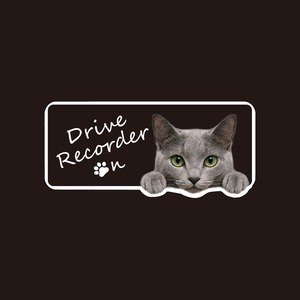 ロシアンブルー・猫・CAT・cat・ドライブレコーダー・ドラレコステッカー・撮影中・車・ステッカー・インクジェット印刷・横型・屋外用・猫好き・ドライブグッズ・監視しています・おもしろい・かわいい・肉球