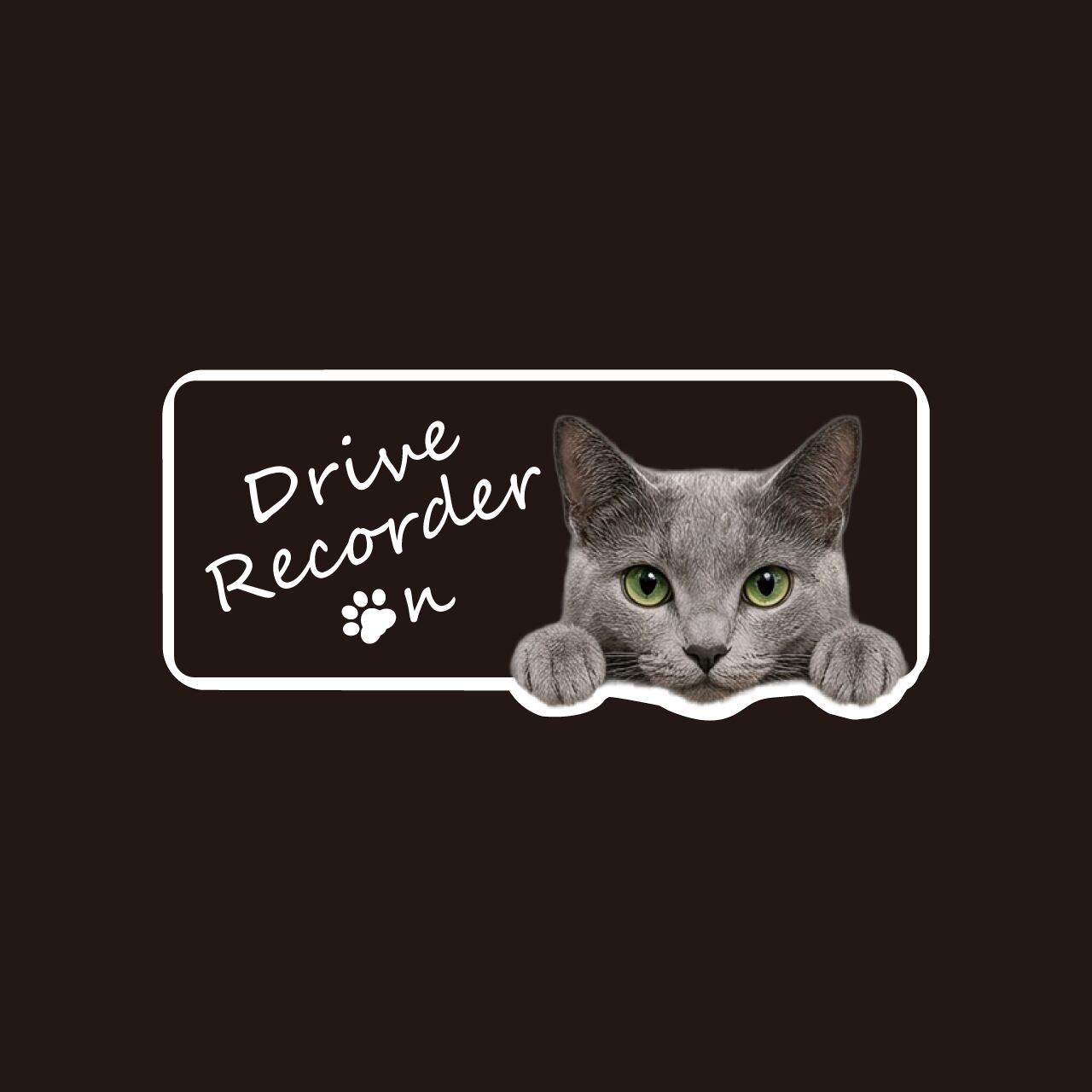 ロシアンブルー・猫・CAT・cat・ドライブレコーダー・ドラレコステッカー・撮影中・車・ステッカー・インクジェット印刷・横型・屋外用・猫好き・ドライブグッズ・監視しています・おもしろい・かわいい・肉球