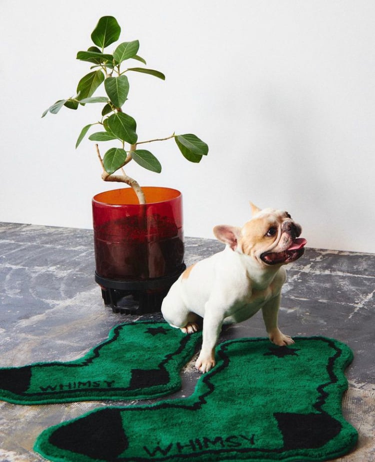 WHIMSY / SOCKS RUG MAT / S | SOUTH TREE skateshop