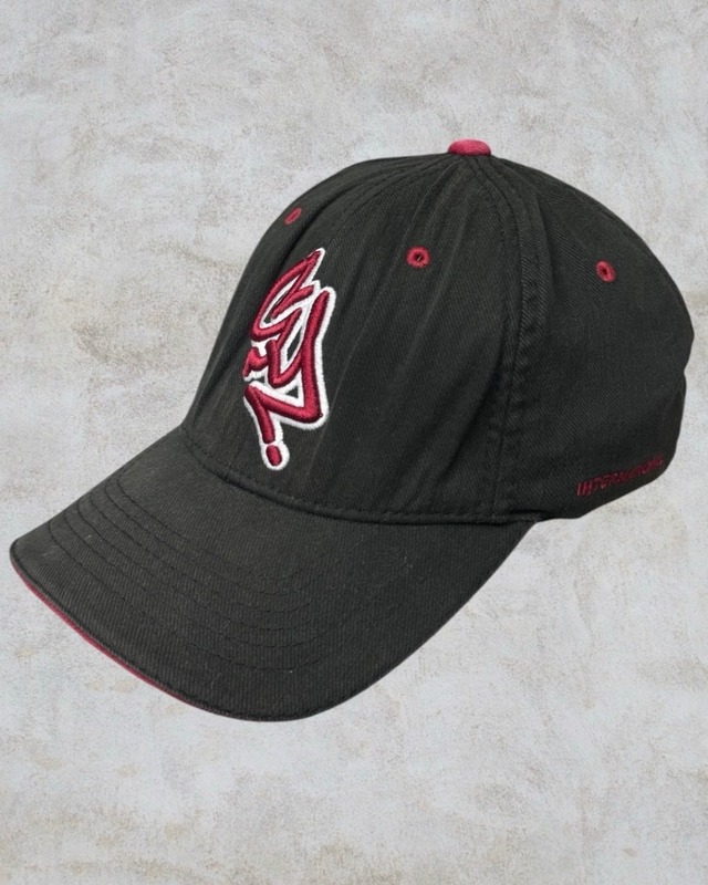 90’s~00’s old stussy Design Cap【高円寺本店】