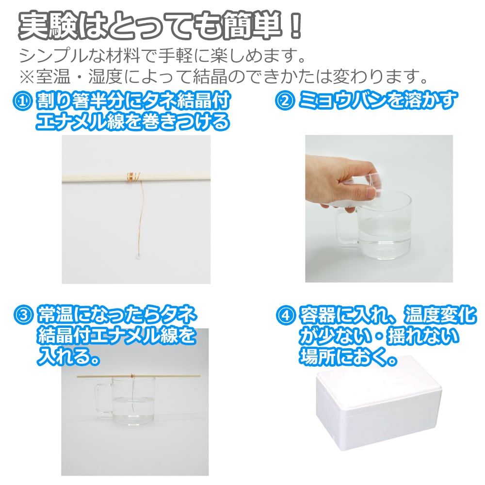 わくわくサイエンスLabo vol.03 きらきらミョウバン結晶 -自由研究に