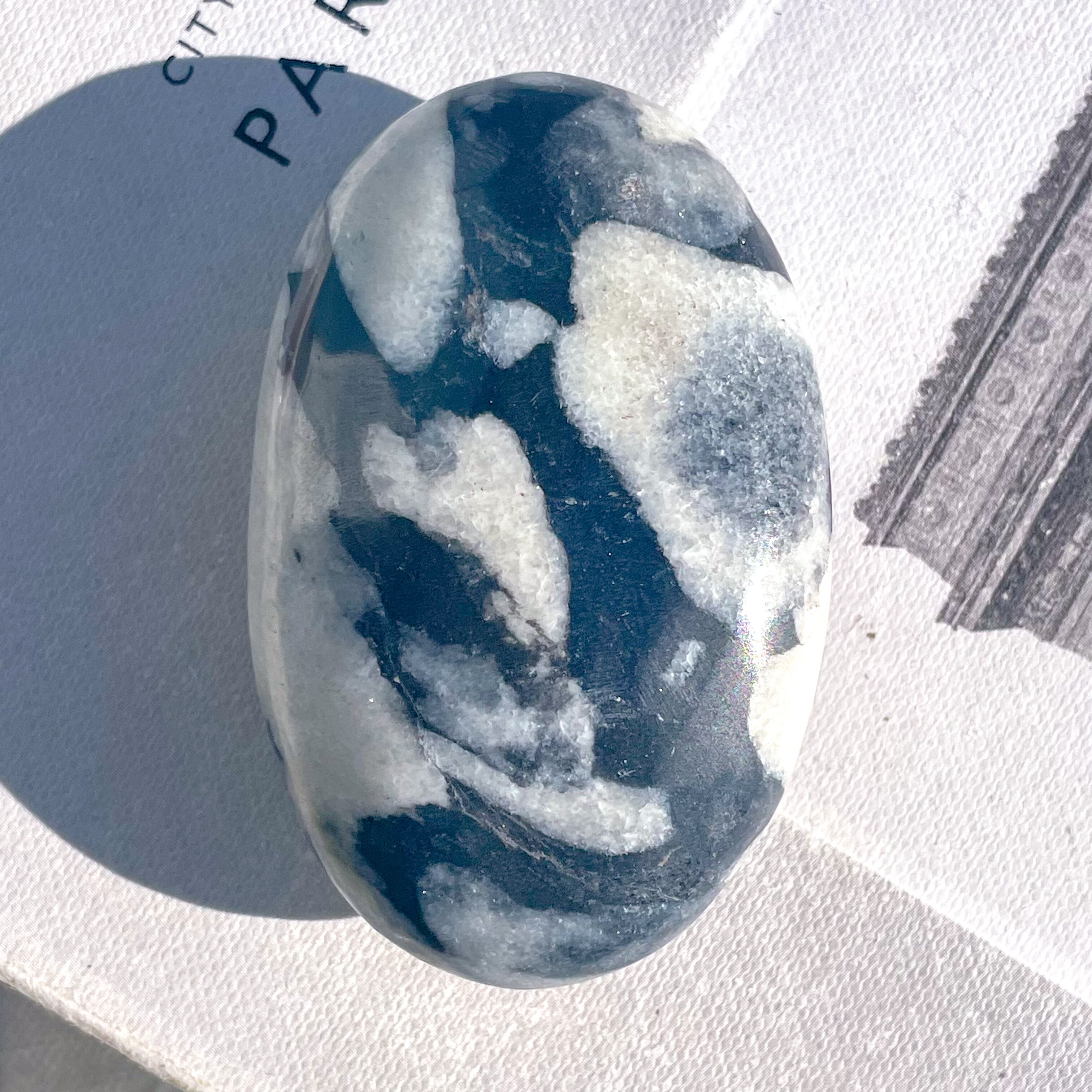 She'll Jasper Palm ✧ シェルジャスパー