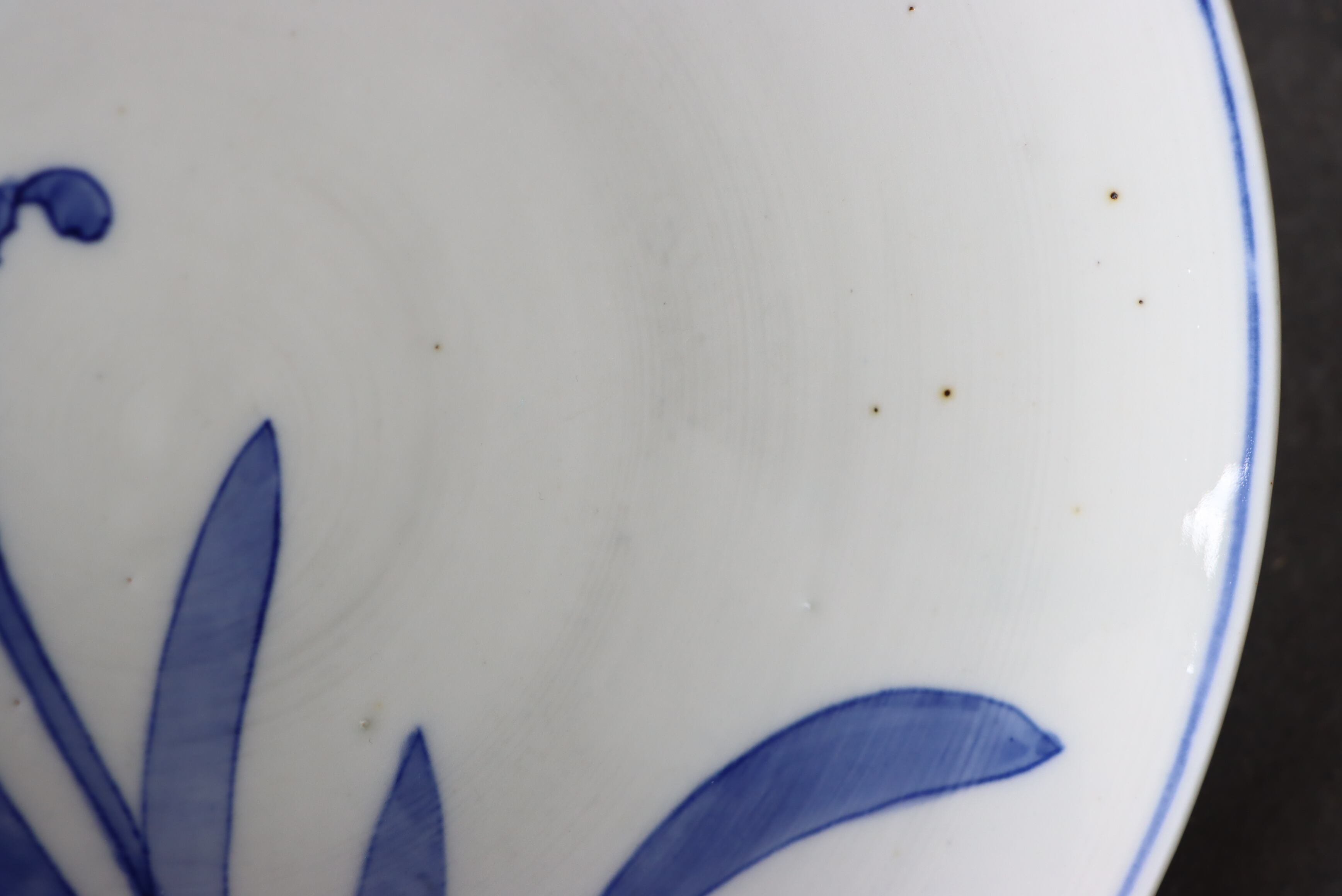 染付 阿蘭陀石竹文 中皿 七寸/Blue and white medium size plate | (有