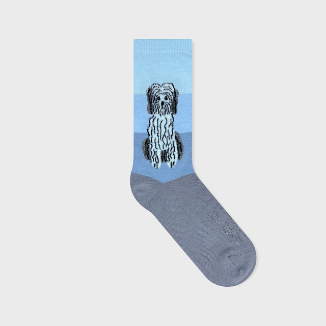 【松尾ミユキ】SOCKS TIBETAN TERRIER チベタンテリア ソックス