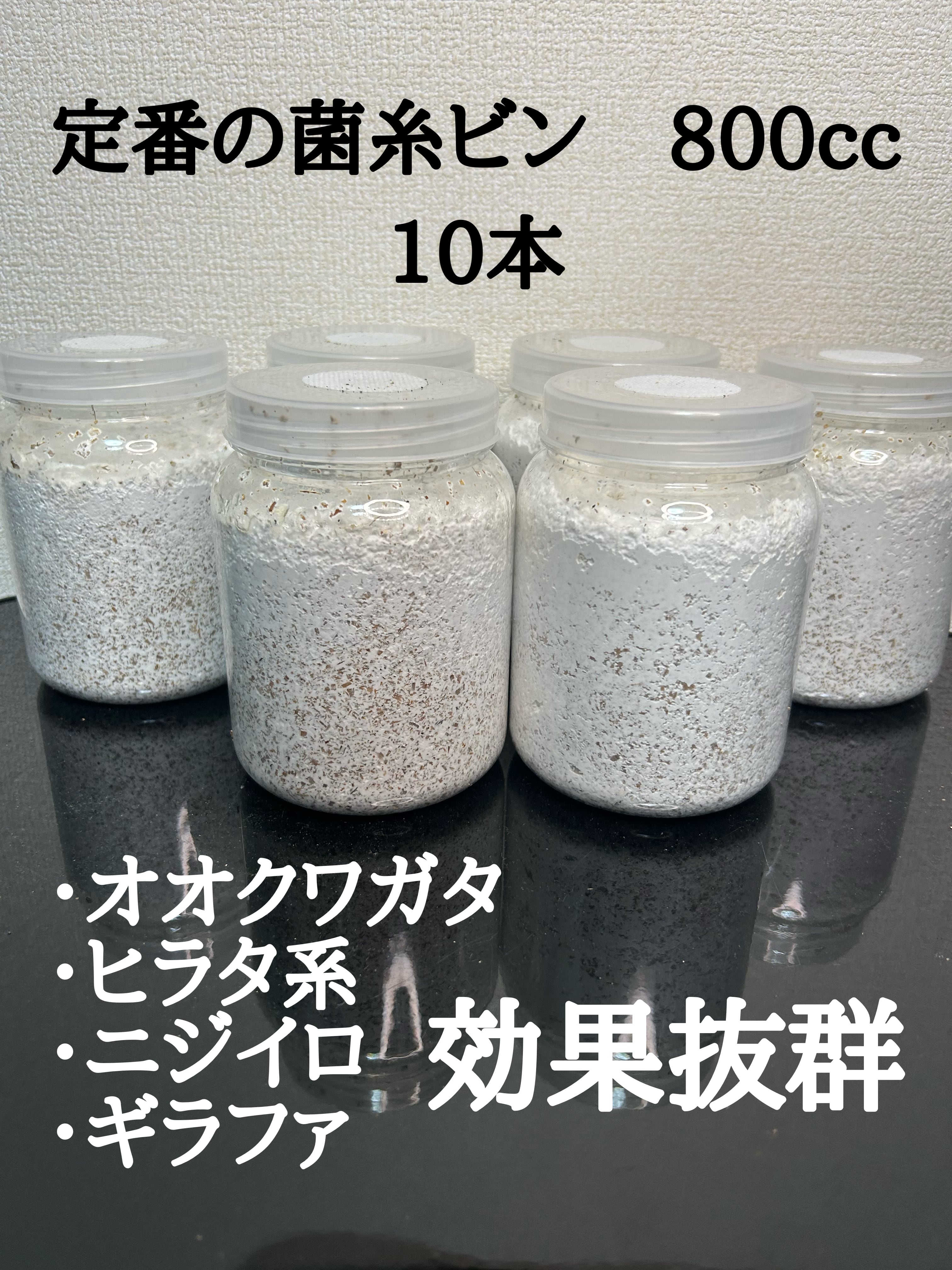800ccの菌糸ビン10本 | カイト@カブクワ研究所