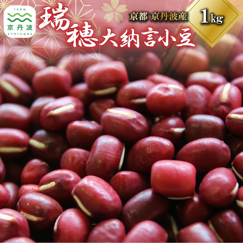 KK012N 瑞穂大納言小豆 1kg Lサイズ 栽培地域限定 希少 令和7年度産