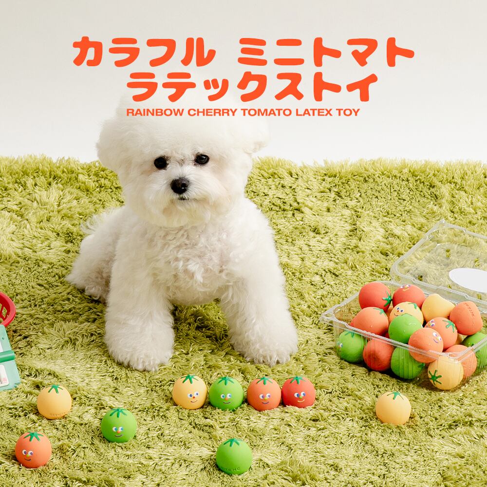 送料無料】 SSFW マイベスティ バックパックハーネス ペット 犬 散歩