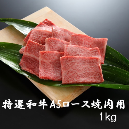 特選 黒毛和牛 ロース 焼肉用(1kg) A5ランク バーベキュー お祝い 化粧箱 贈答用 業務用にも 黒毛和牛 高級志向