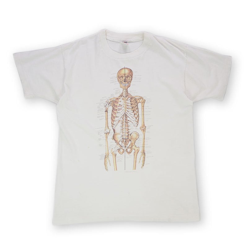 人体解剖 Tシャツ XL