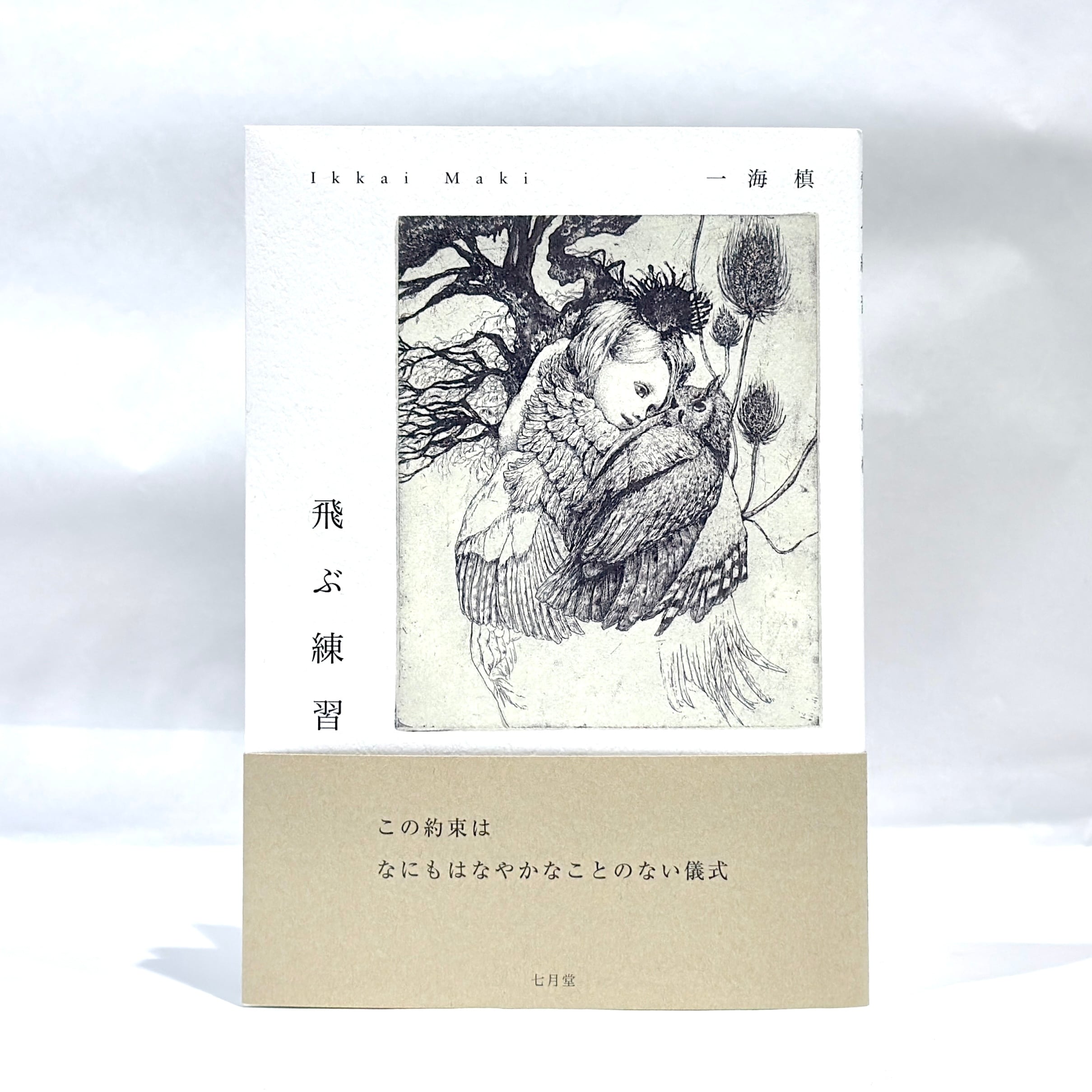 詩集 魂の領分 / 牟礼慶子 [19641] | Pay ID