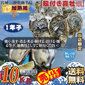 宮城県三陸・牡鹿半島産 加熱用 殻付き生牡蠣:一年子 10kg /箱 産地直送 送料無料