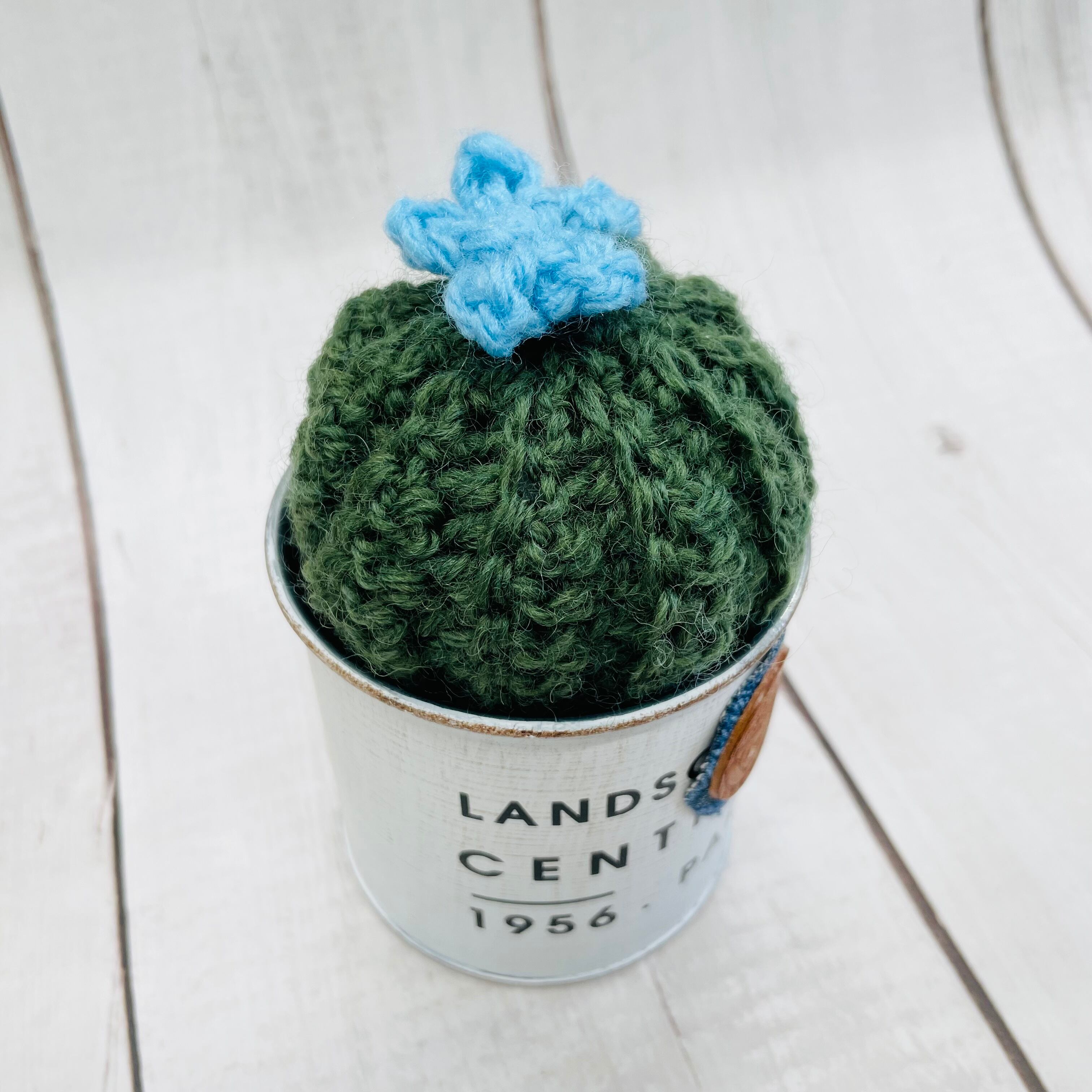 あみぐるみサボテン | miccuのおうちDX