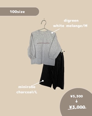 [即納] happy box (100size)