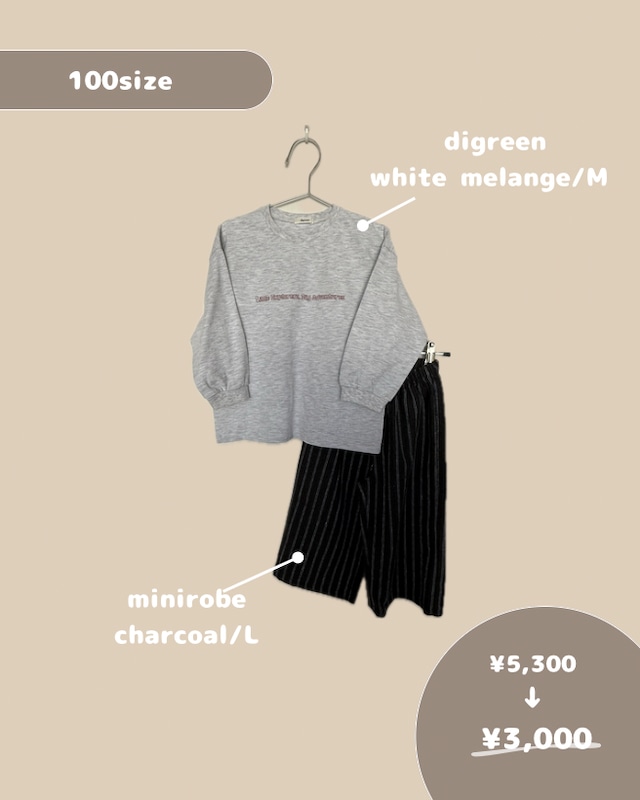 [即納] happy box (100size)