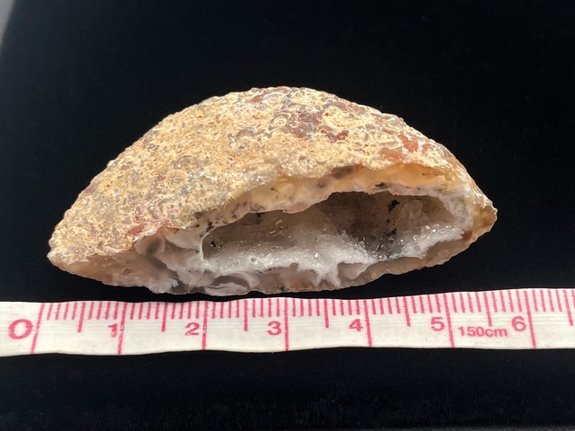 オープンジオード