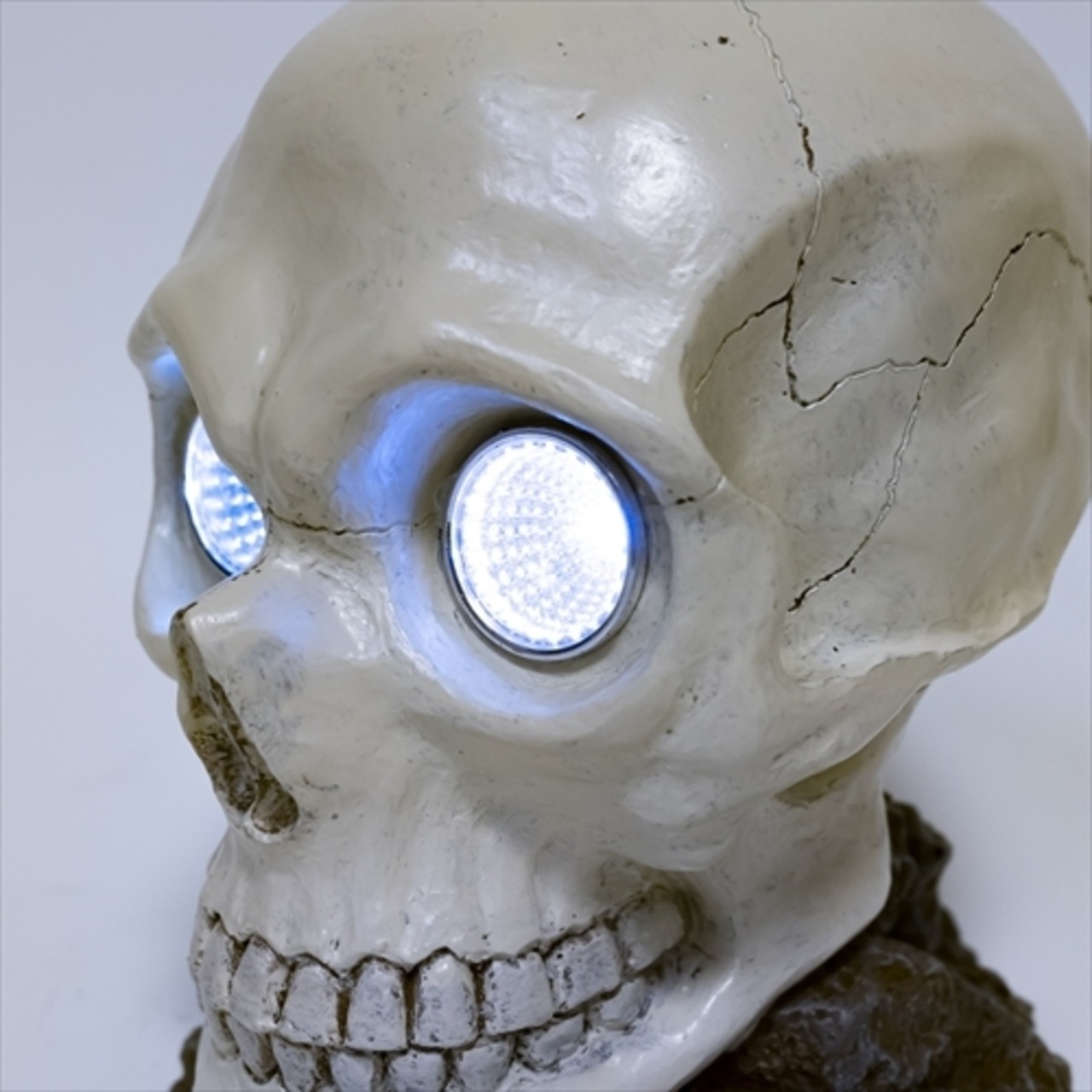 スカル　ソーラーライト　 SolarLight Skull - 1