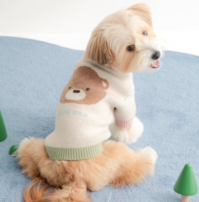 M/即納【BITEME】Soft Knit T-Shirts (Ivory/Bear)