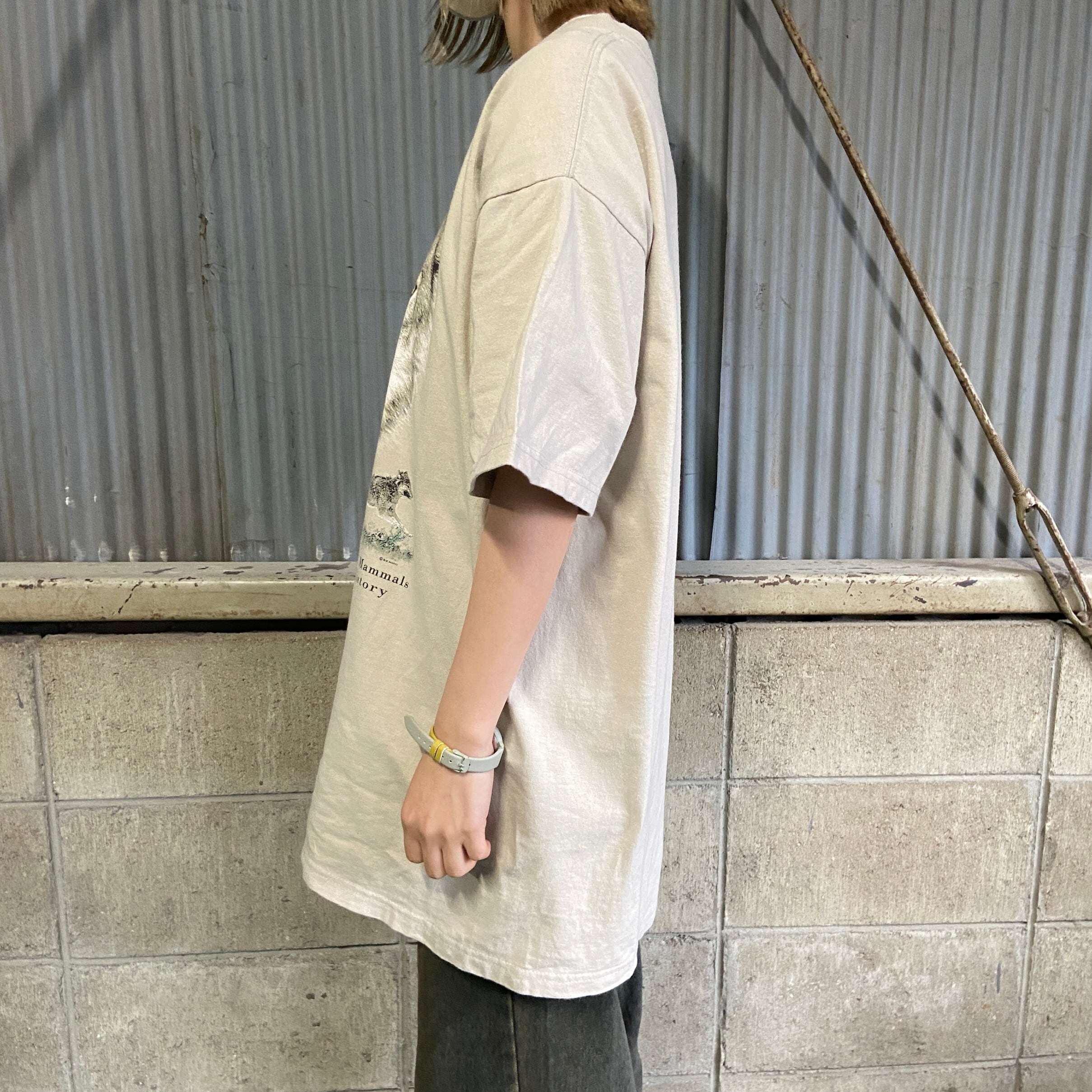 National History ミュージアム 国立自然史博物館 オオカミ アニマル