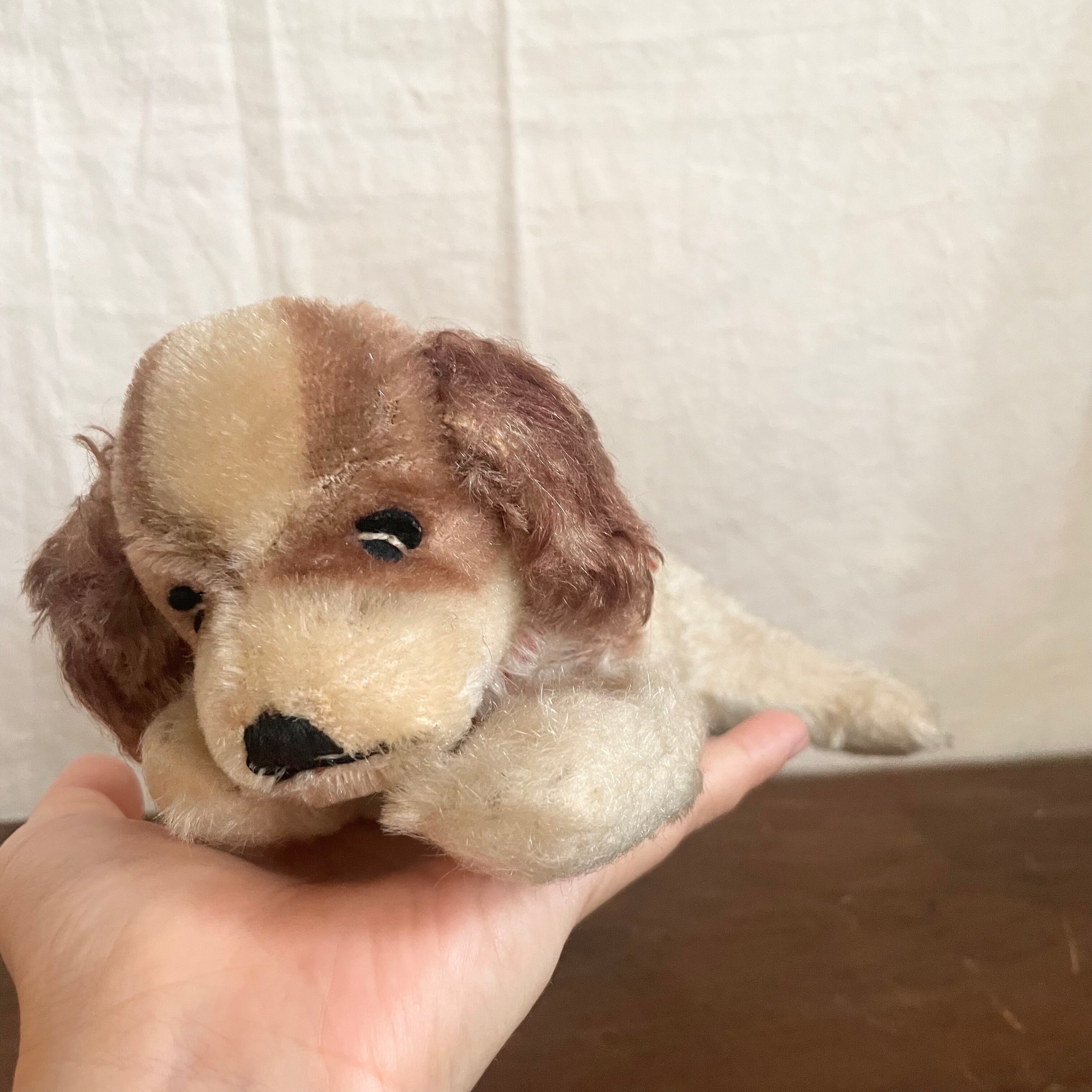 おやすみ中の犬