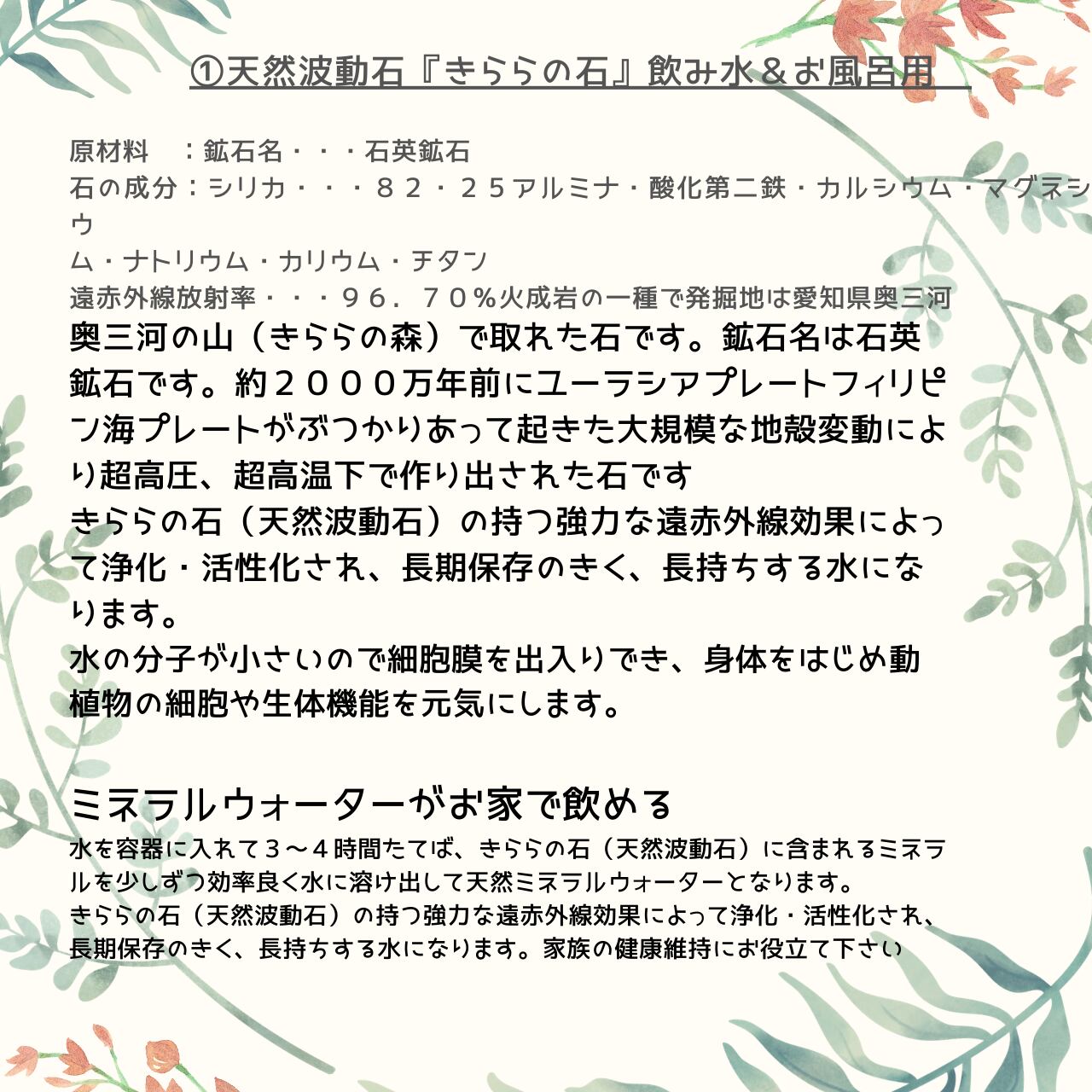 きらら スペシャル 竹炭 きららの石 マザーソルト 脱臭に きららの石 しぜん堂 マザーソルト