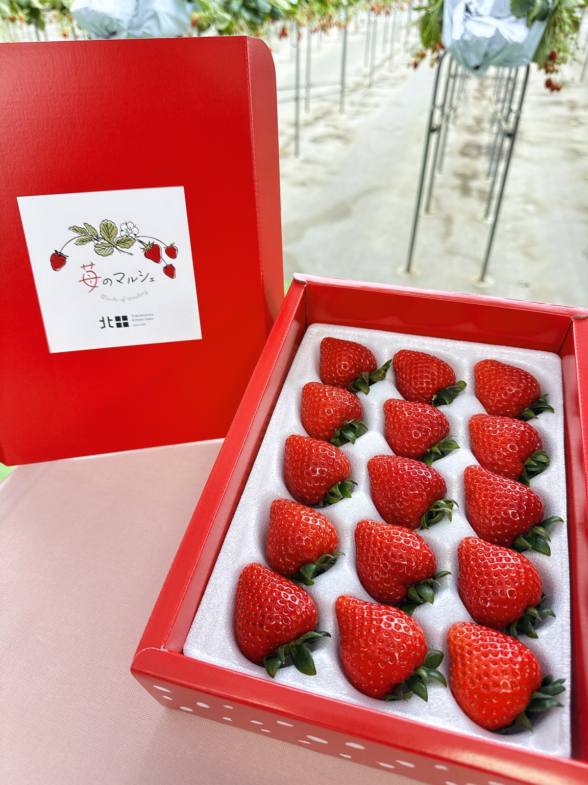2箱セット／期間限定・数量限定】食べチョクいちごグランプリ2025金賞 