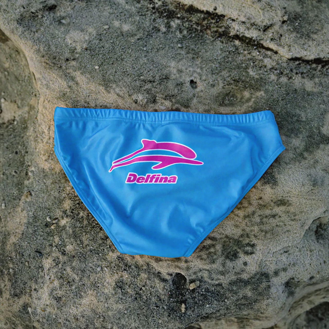 Delfina - Summer Hues Brief