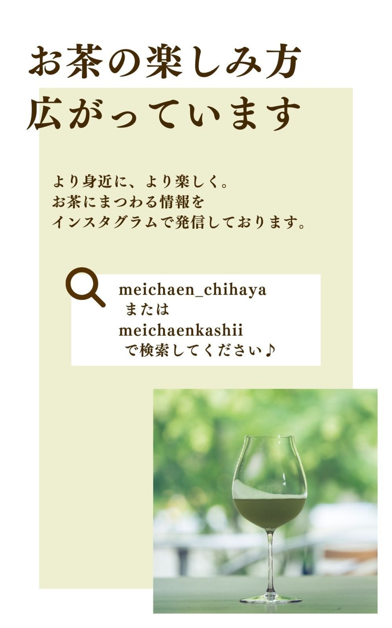 煎茶　知覧茶　おくみどり　80g
