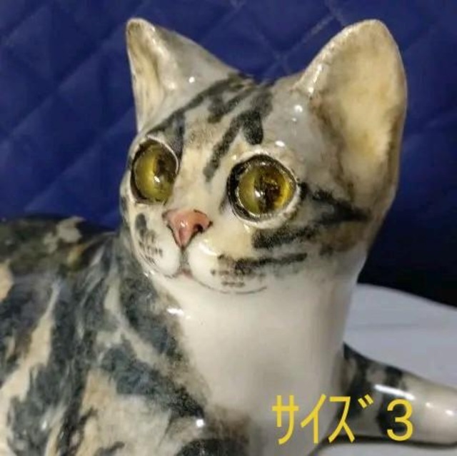 ❇️ウィンスタンレイキャット(ケンジントンキャット)サイズ7