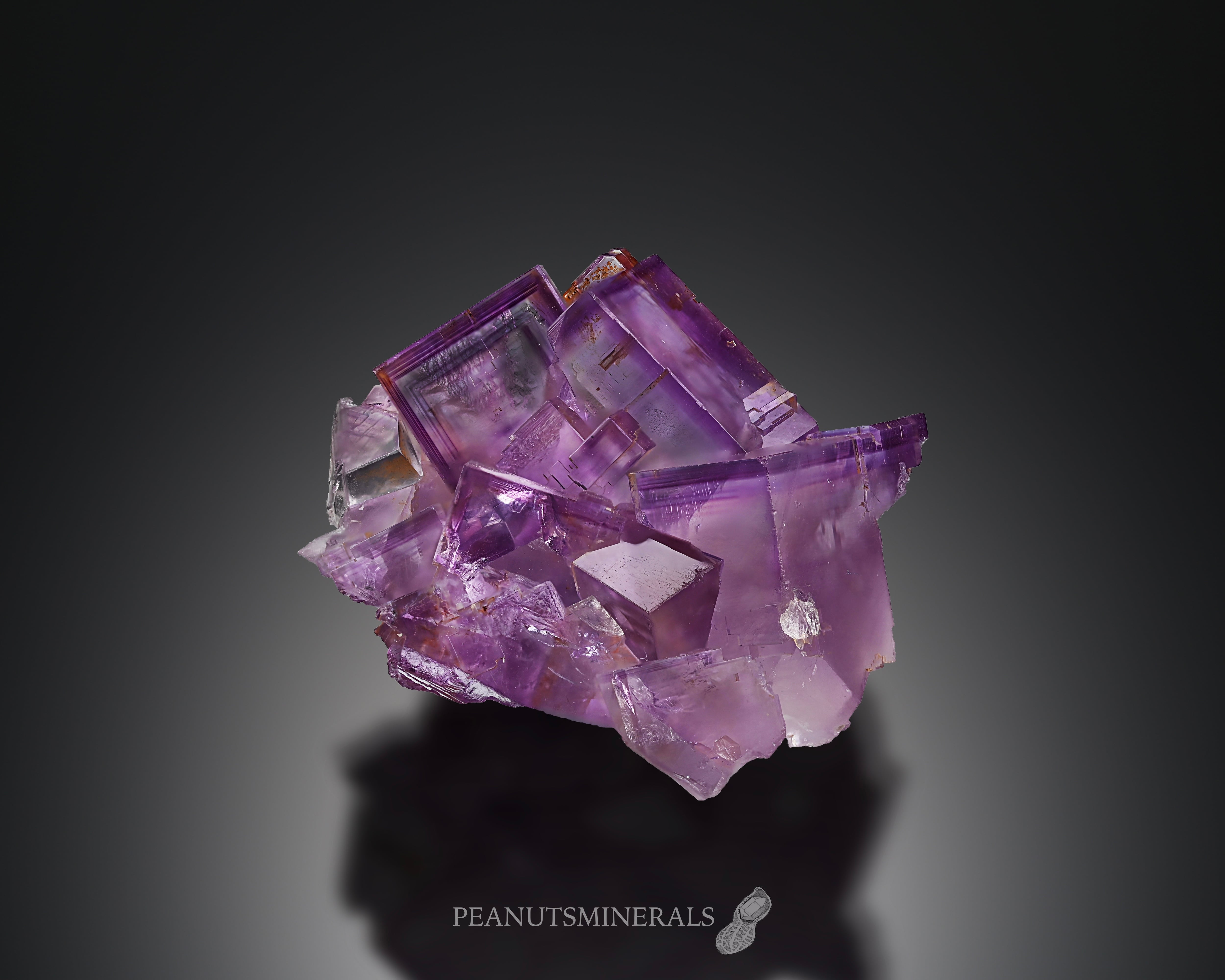 フローライト【Fluorite】スペイン産 | PEANUTS MINERALS