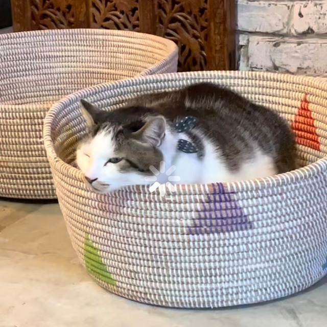[セネガル] 手編み猫ベッド（直径46x高さ25cm）