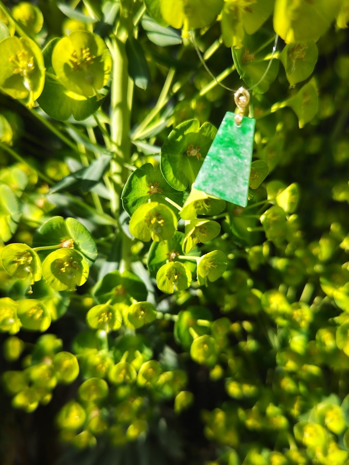 翡翠ペンダントトップ（18K）｜繁栄と守護を授けるミャンマー翡翠 | 日