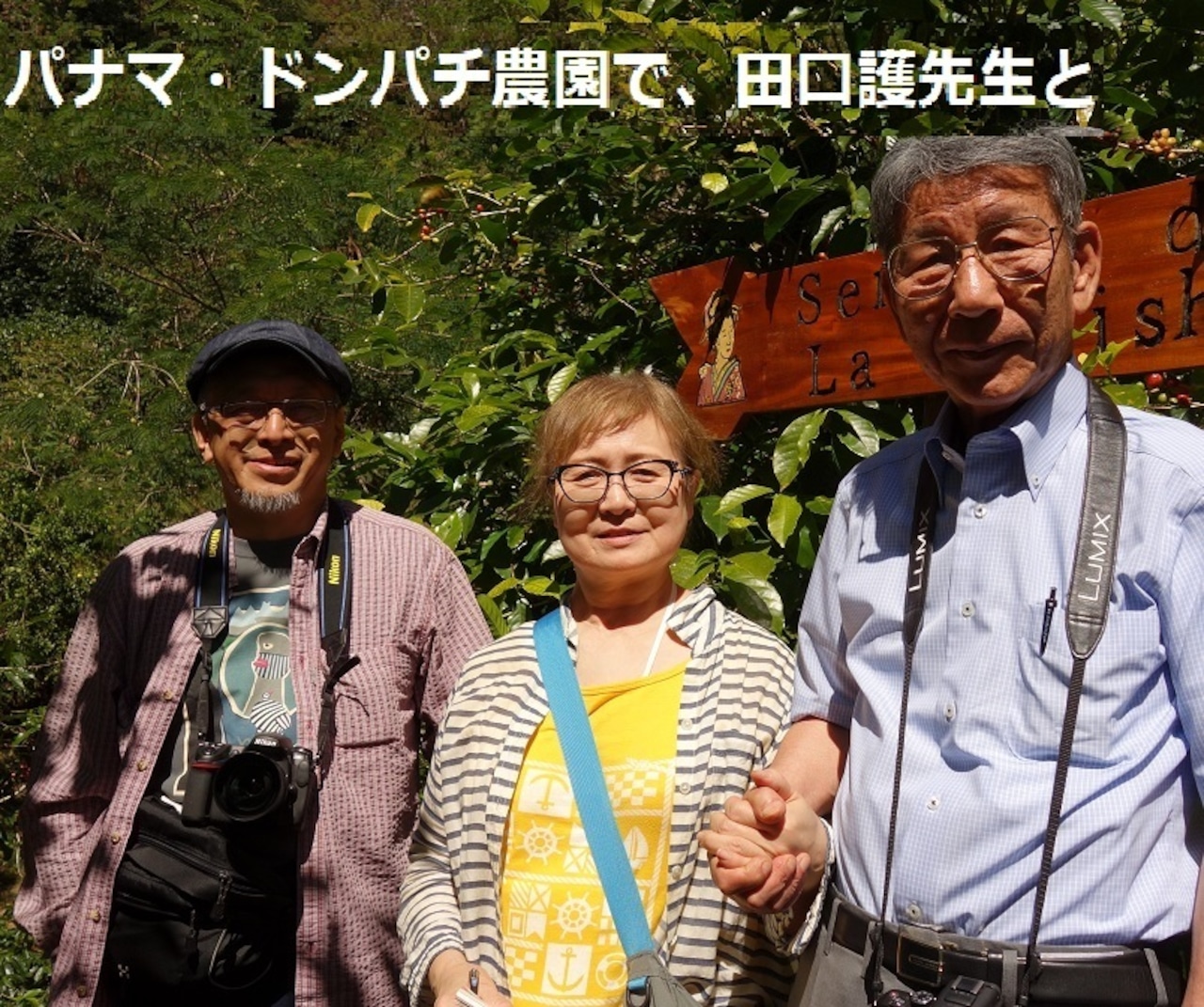 コーヒー　コーヒー豆　自家焙煎　パナマ ドンパチゲイシャN   □産地:パナマ □内容量:100g