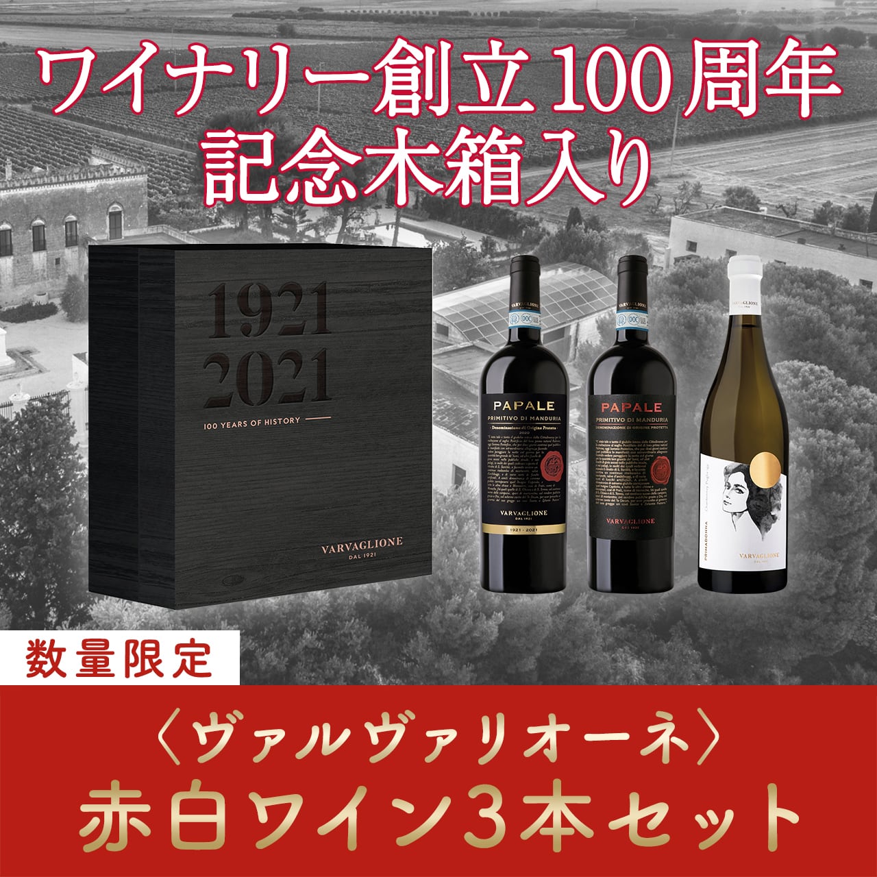 【数量限定】ヴァルヴァリオーネ 創立100周年記念 赤白ミックスワイン3本セット〈木箱入り&16%OFF&送料無料〉(B703001)