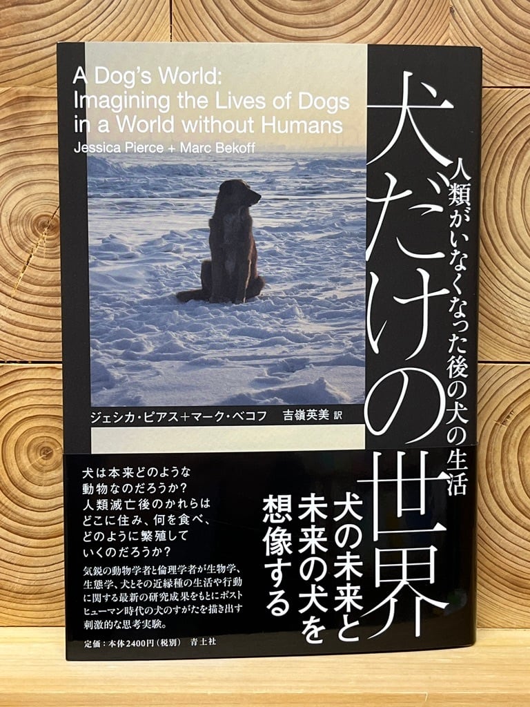 高橋幸宏】犬の生活 絶版希少本 - アート/エンタメ