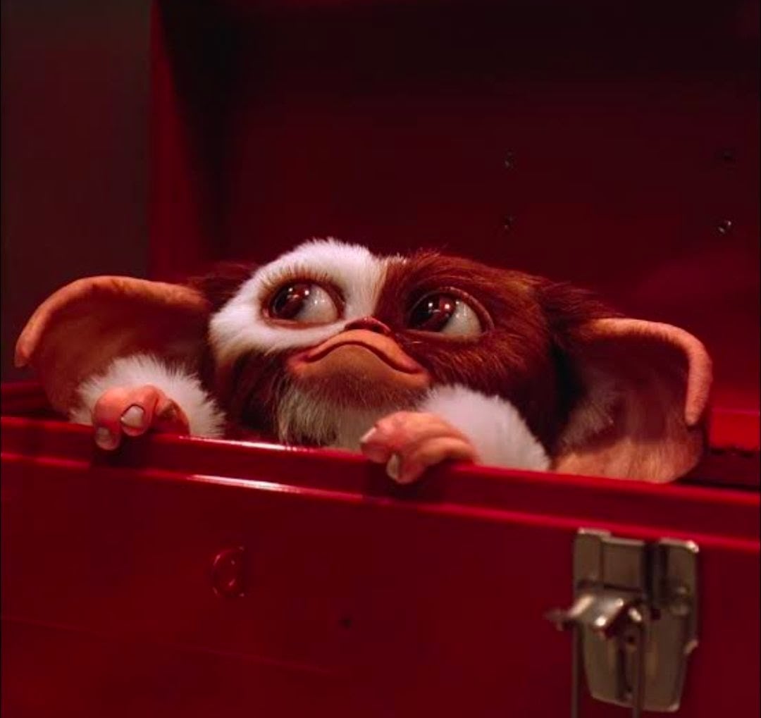 【 グレムリン（Gremlins）】ギズモ / Tシャツ /映画Tシャツ/80年代映画〚アメリカン雑貨 アメトイ〛