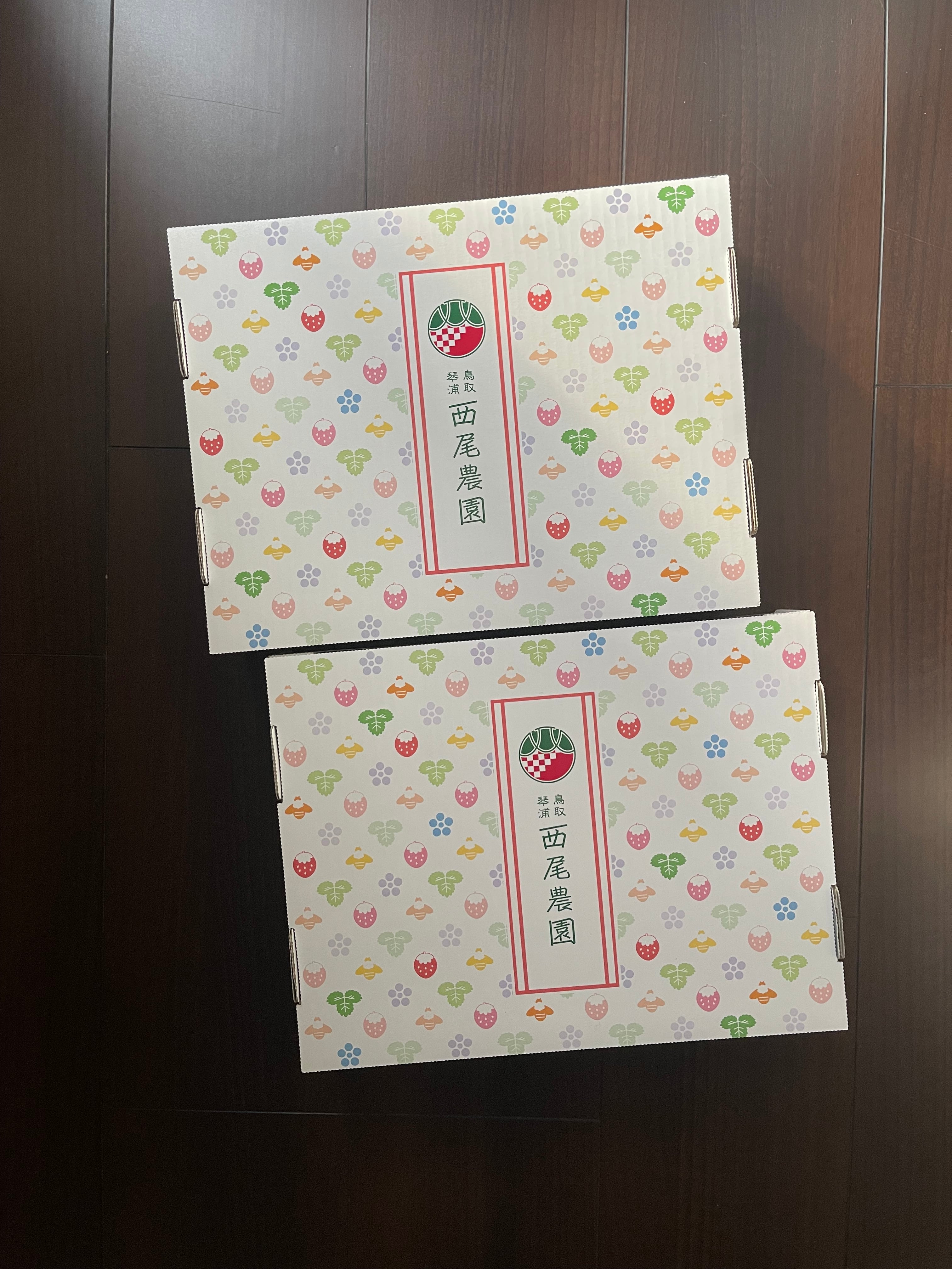 苺4トレー入り 【鳥取県オリジナル品種 とっておき】 | 240nouen